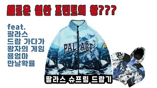 팔라스 리뷰 와 슈프림 리뷰 한날에 몰아하기 (feat. 헐리웃스타 만나기)