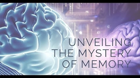 Unveiling the Mystery of Memory: How Our Brain Encodes the Past