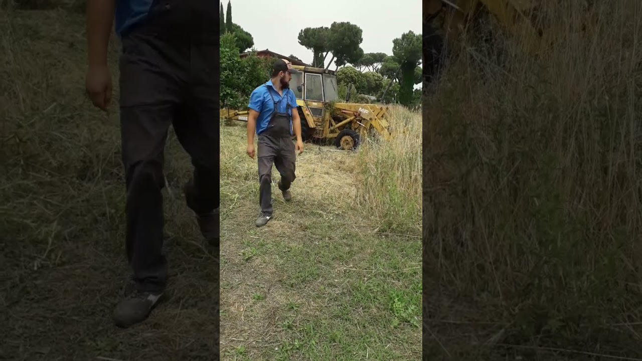 MF 50 B Abandonat de 10 ani