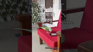 Sasu ma ayi humse milne aur tota aya sasu ma se milne 😂🦜 #sasumaa #mitthutota #viral #animallove