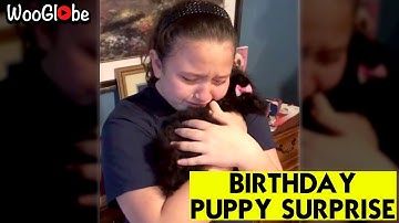 Birthday Puppy Surprise - Tears Of Joy