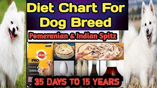 Pomeranian Dog Diet Plan || Indian Spitz Diet Plan || Diet Chart For Pom Puppy || 35 days to 15 Year