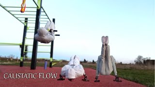 Calistatic Flow Pull & Push