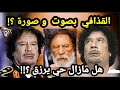 لن تصدق معمر القذافي ما زال حي يرزق صور وفيديو جديد بصوت قائد ليبيا القادم حقائق وأسرار 