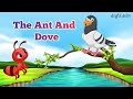 The ant and the dove  story  story in english  moral story  short story  story for kids