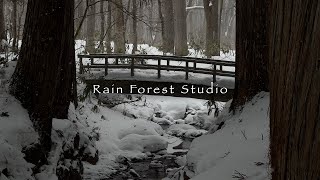 Download Lagu TOGAKUSHI : Winter Sanctuary MP3