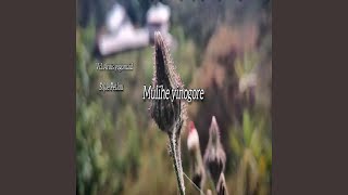 Mulihe yinogore