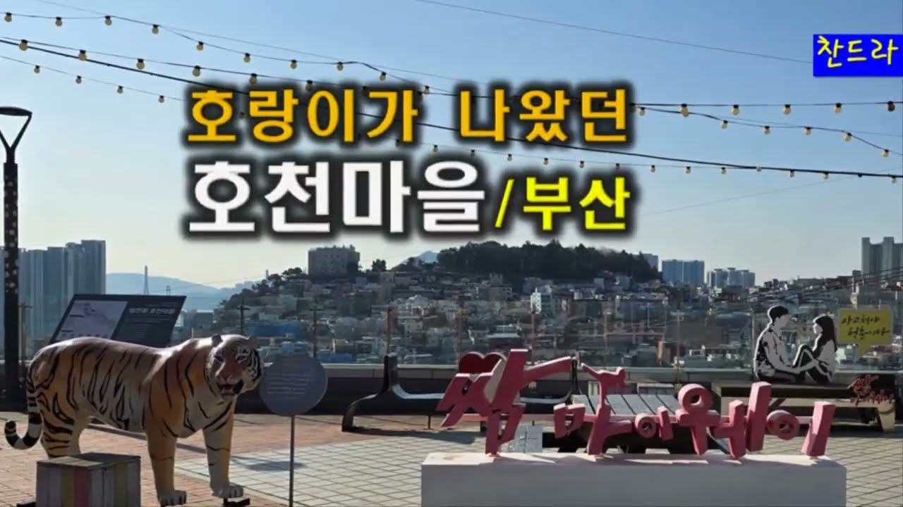 호랑이가 나왔던 호천마을/부산