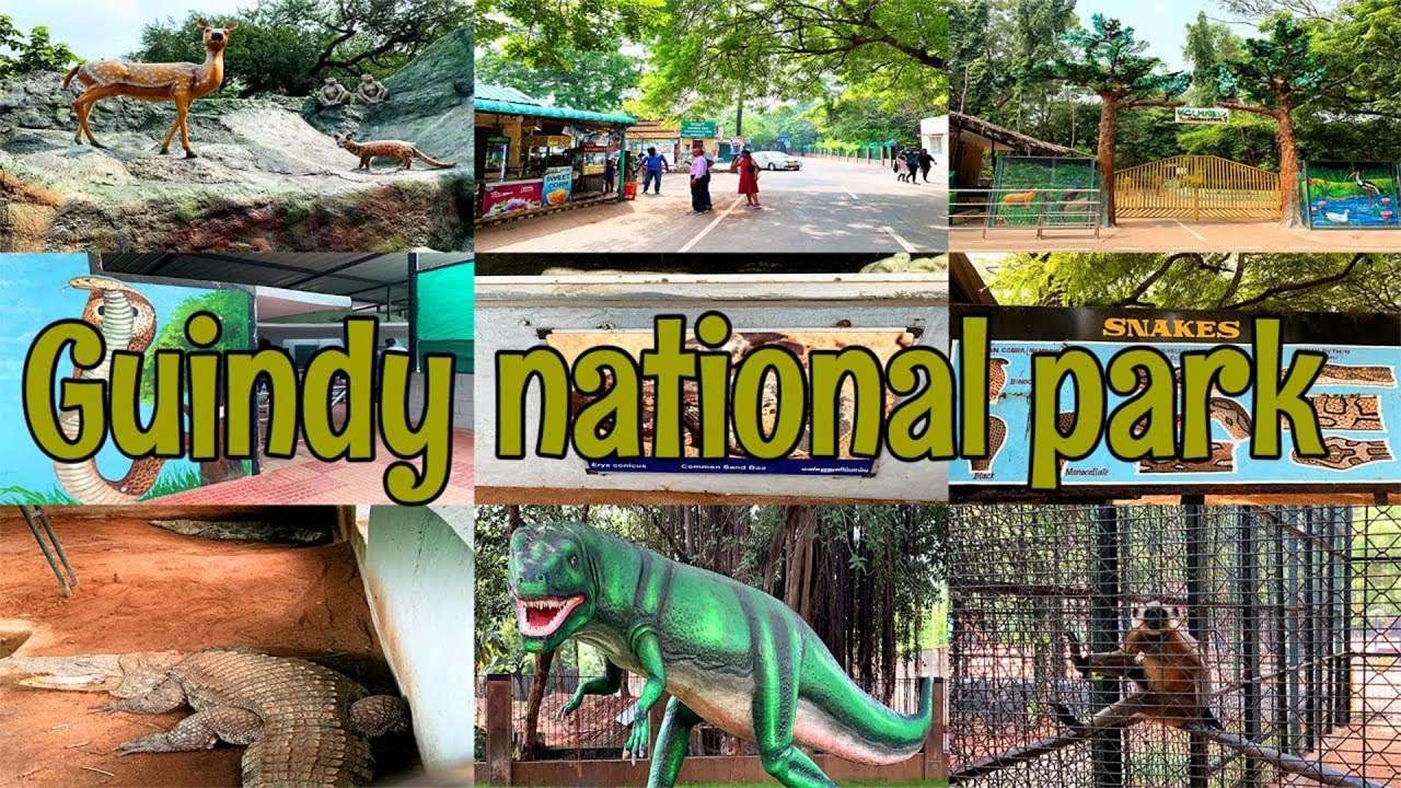 Guindy National Park Chennai Chennai Park Tamil Nadu Youtube