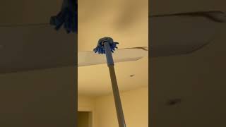 End Of Lease Clean - Top 5 Things Your Property Manager Will Check