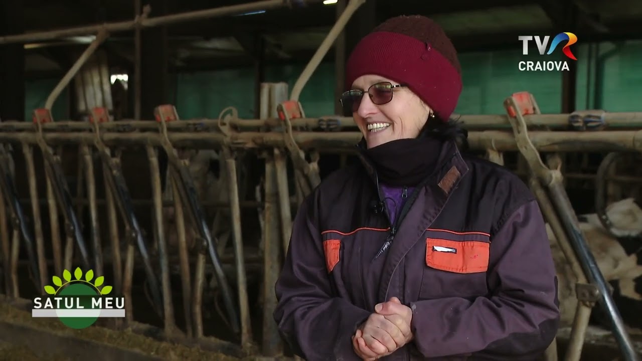 Satul meu - Ferma de vaci din Rusănești, Olt