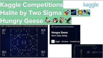 Kaggle Competitions: Halite by Two Sigma 🚀 and Hungry Geese 🦆