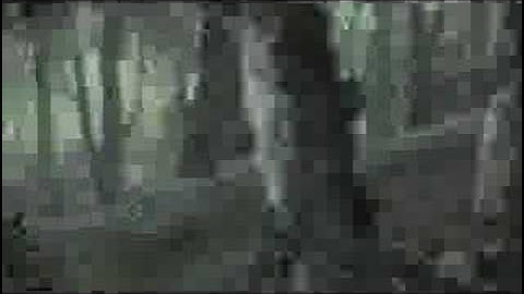 あらしのよるに予告編 Arashi No Yoru Ni 1