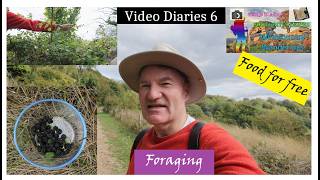 Foraging | Food for Free - Video Diaries 6