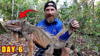 6 Days Solo Survival on a Deserted Island – Trapping a Giant Lizard