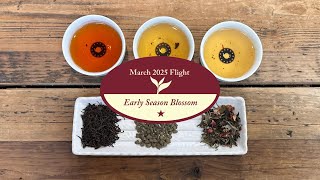 March 2025 Tea Flight - Early Spring Blossom