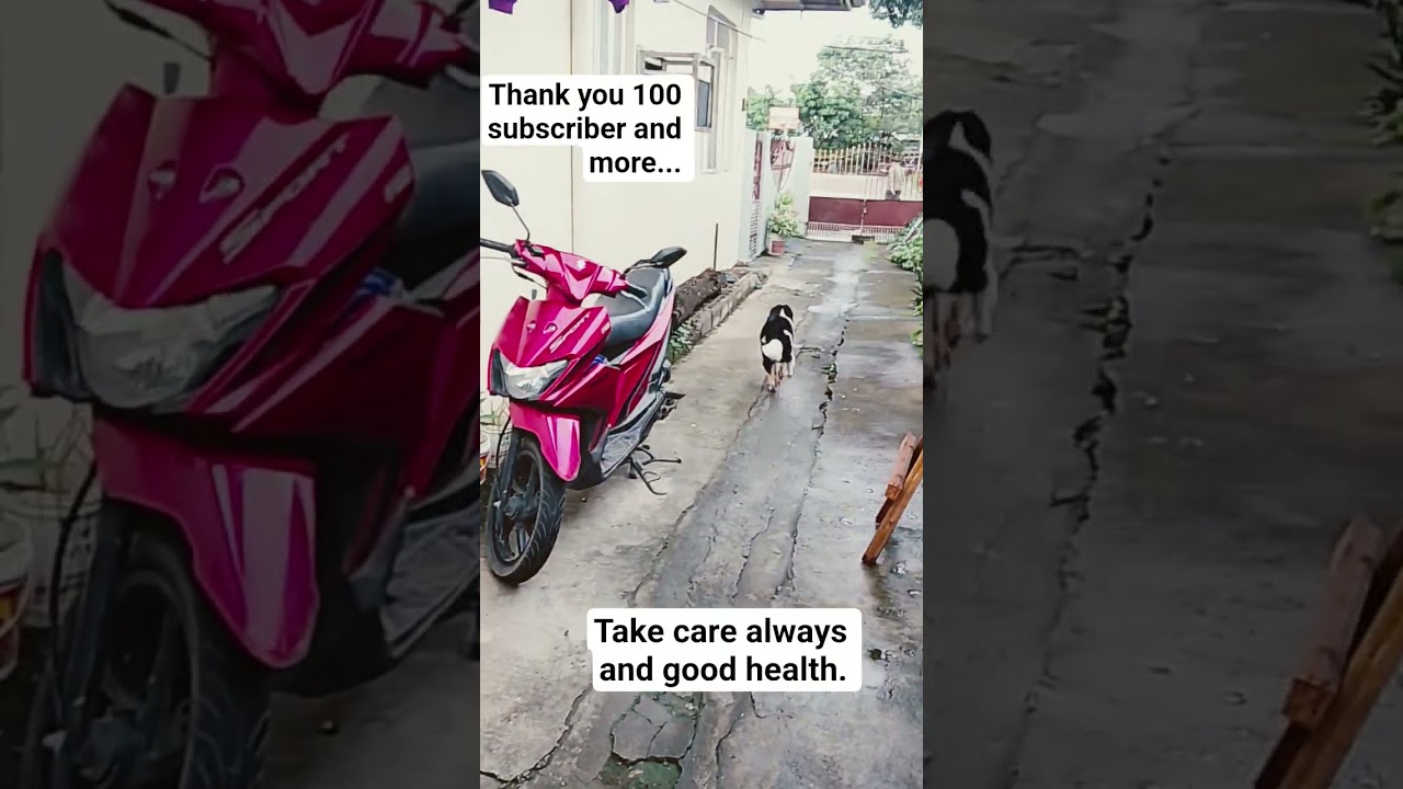 Thank you a  lot 100 subscriber and take care always, We loves you.😘😘😘 — I Win it tv.  YouTube video