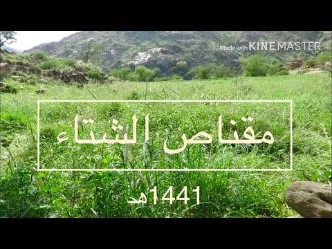 مقناص الشتاء