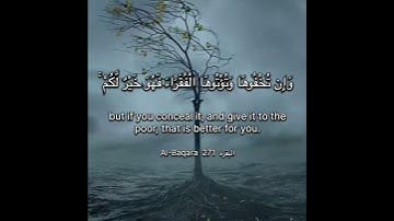 سورة البقرة الاية 271 ‏Surah Al-Baqara Ayahا#quran #surahalbaqarah #القرآن #chorts #اكسبلور_explore