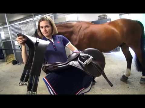 Video: Miten hevonen voi vetää kärryä fysiikkaa?