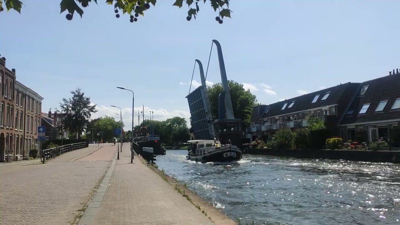 Южная Голландия. Дэльфт.2025.