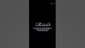 سورة القلم القارئ إسلام صبحي