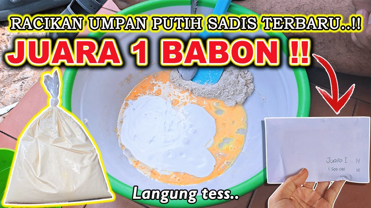 JUARA 1 LOMBA !! TES RESEP UMPAN IKAN MAS PUTIH KUKUS TERBARU BABON & RAME MAKAN LAHAP ❗❗