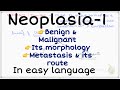 Neoplasia pathology morphology benign  malignant tumours metastasis  its route  neoplasia