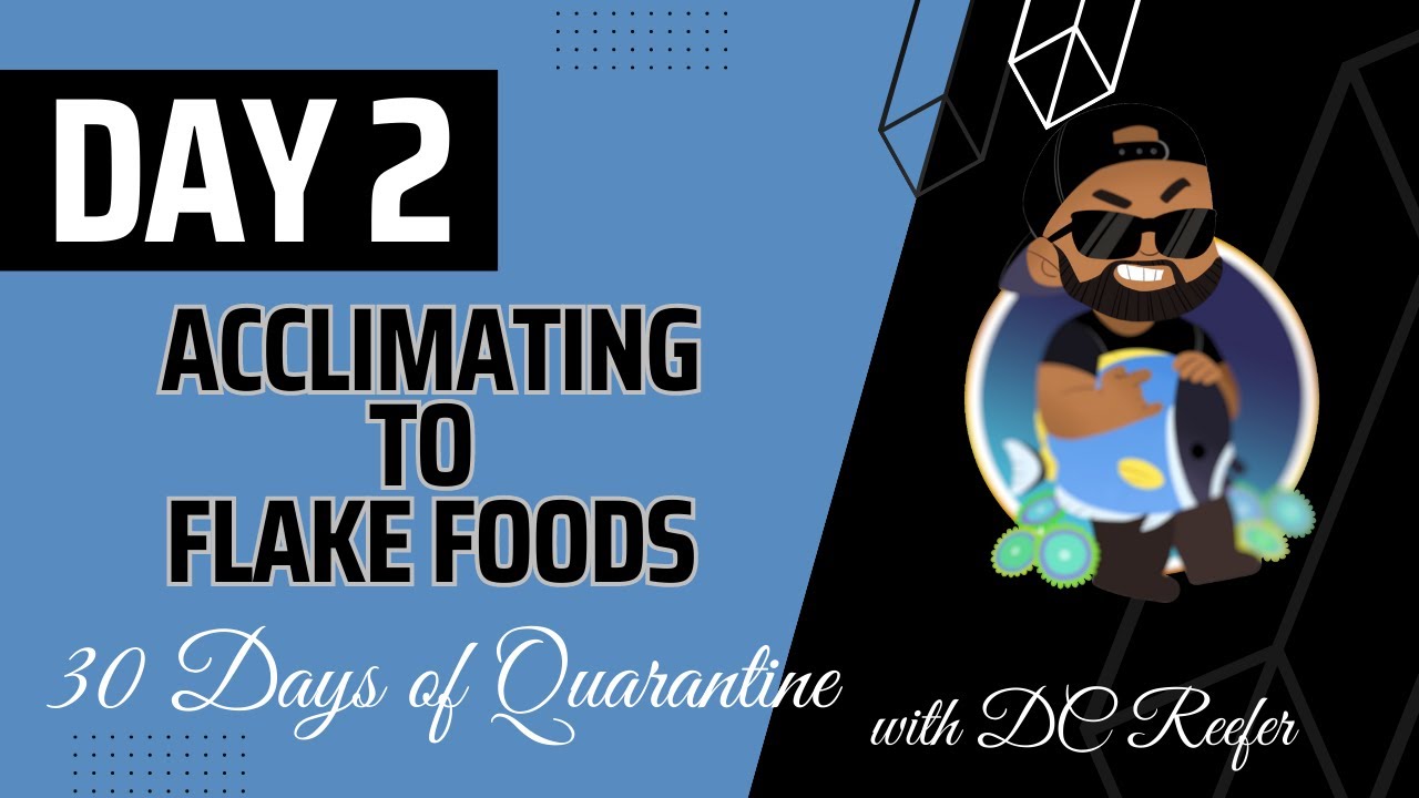 QT Day 2 | Acclamation to Flake Food - YouTube