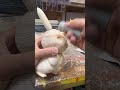 大工が本気で木でピカチュウ作ってみた！ #pokemon #ピカチュウ