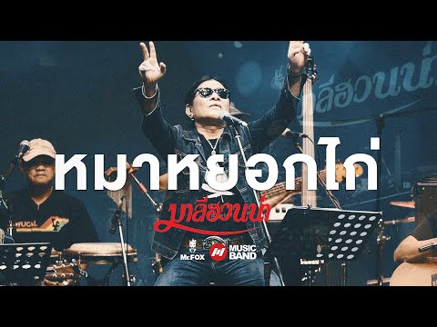 หมาหยอกไก่ - มาลีฮวนน่า ยรร โฟล์ค Exclusive Acoustic Concert #2 |  Mr.FOX Live House