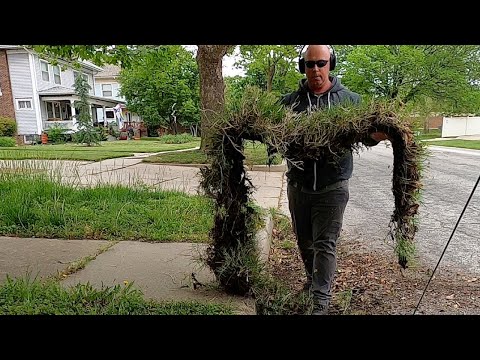 Clean Edges Make All The Difference, Crazy Overgrown Lawn - Oddly Satisfying Lawn Care