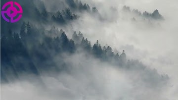 صلاة الجمعة | ما تيسر من سورة الزمر