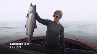 West Coast salmon industry braces for fishing ban