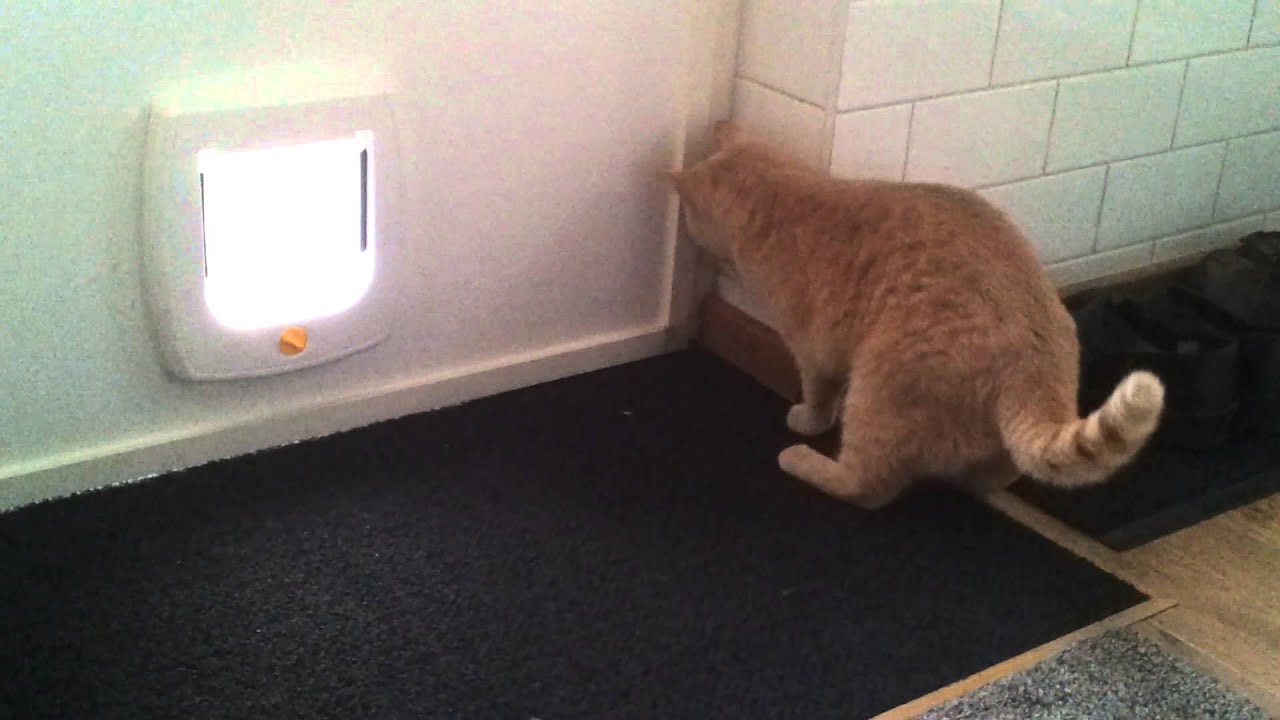 Lana in niet voor 1 gat te vangen. - YouTube