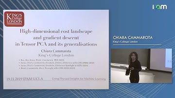 Chiara Cammarota: "High-dimensional cost landscape and gradient descent in Tensor PCA and its ge..."
