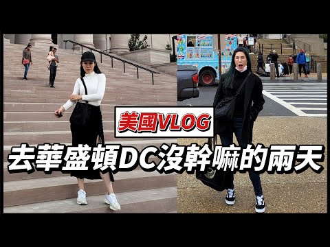 美國Vlog｜博物館只看一下就去喝下午茶