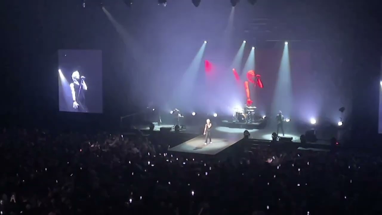 0225 Диана Арбенина