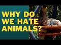 Why do we hate animals? A trip to Chhatbir Zoo, Chandigarh - Zirakpur - March 2021