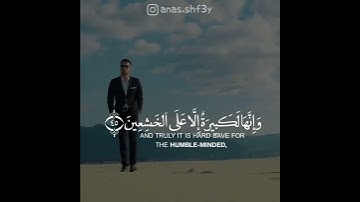 سورة البقرة بيصوت القارئ انس الشافعي