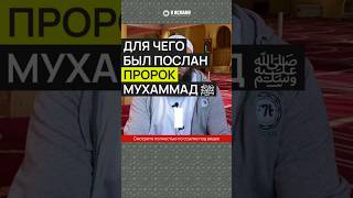 Для чего был послан Пророк Мухаммад ﷺ, если арабы и так поклонялись Аллаху?