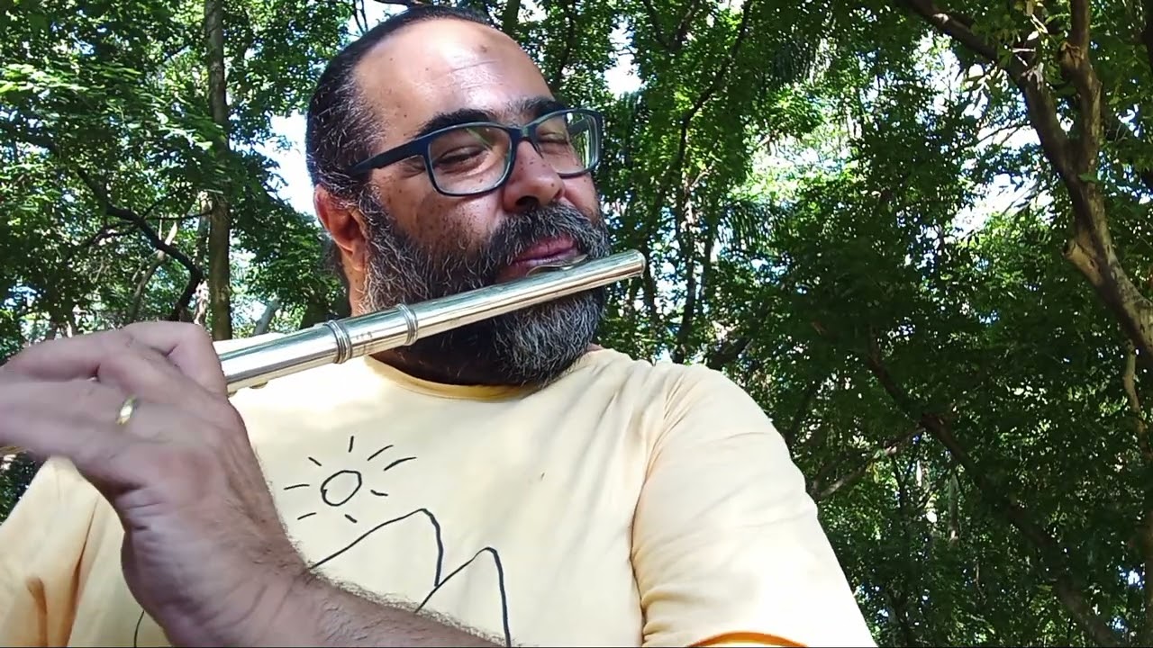 Cigarras em C# - Estudos de Biomúsica no Villa-Lobos