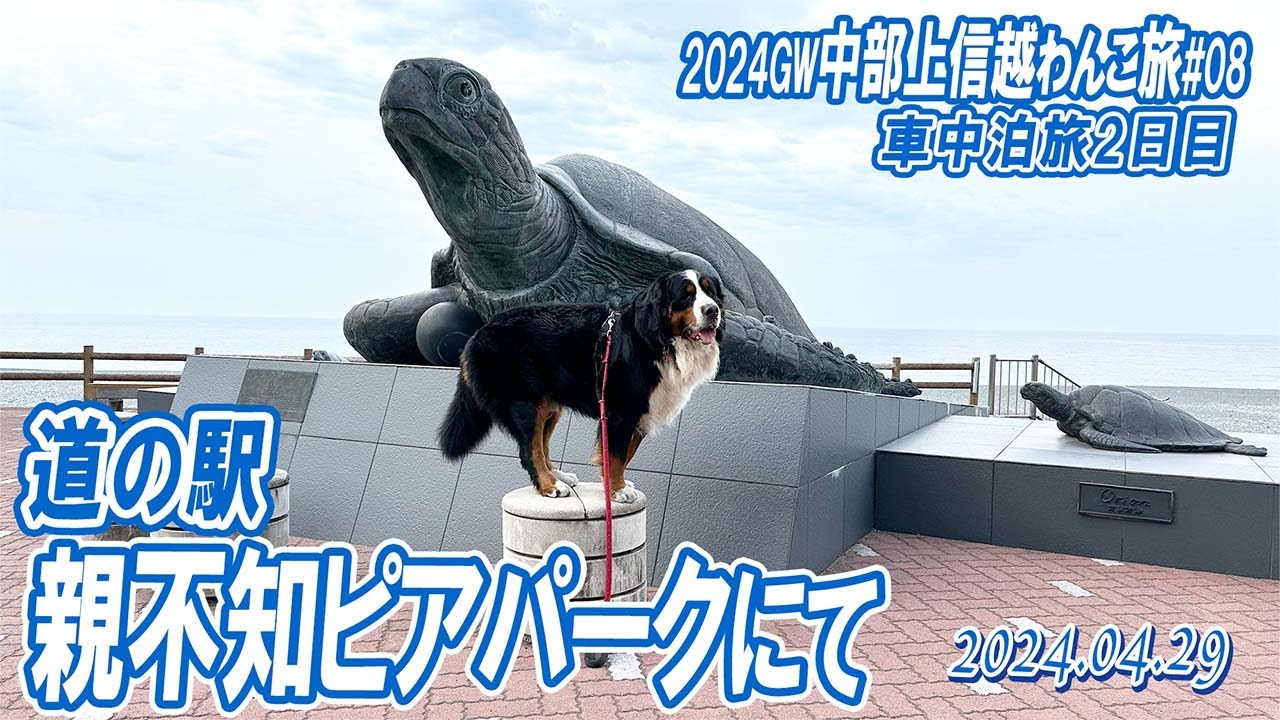 大型犬の車中泊旅／道の駅親不知ピアパークで巨大なヒスイ原石を見たよ？(^^)中部上信越わんこ旅（その8）／2024GW#08／大型犬散歩