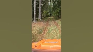 Forest Fast Offroad Adventure with Polaris RZR Turbo: Explored Track #offroad #rzr