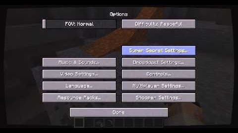 Playing Mincraft 3: Super Secret Settings