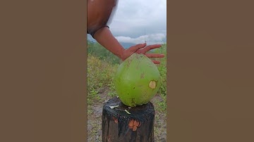 The perfect knife for coconut peeling #cuttingskills #coconut