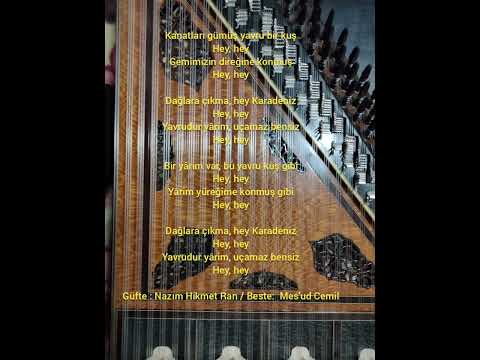 Kanatları gümüş yavru bir kuş kanun ile