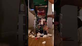 Unloading the garbage truck.