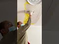 Painter Applying putty #painter #shorts #walldecor #construction #renovation