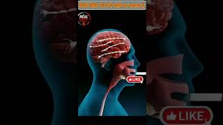 सिर्फ सिगारेट पिणे से आप मर सकते हो #smoker #facts #ytshorts